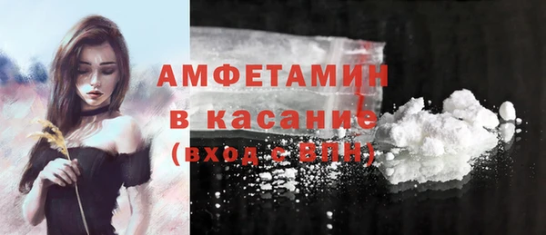 прущие грибы Алзамай