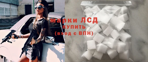 прущие грибы Алзамай