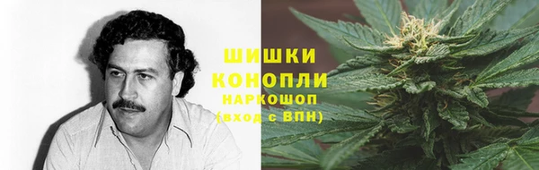 прущие грибы Алзамай
