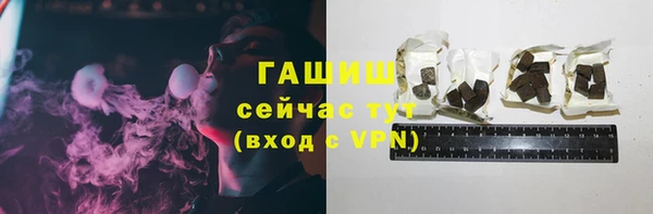 прущие грибы Алзамай