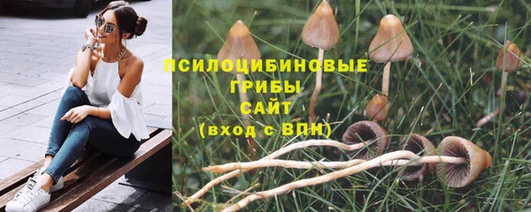 герыч Алексин