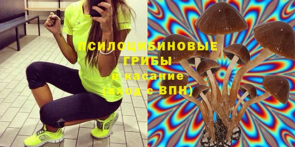 герыч Алексин